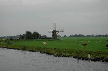 farm
